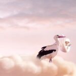 Cigogne avec un bébé